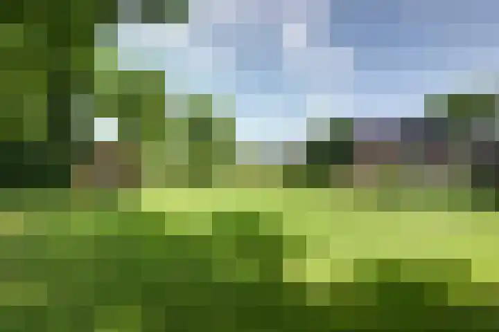 Timmermannsweg 34 Ysselsteyn thumbnail 39
