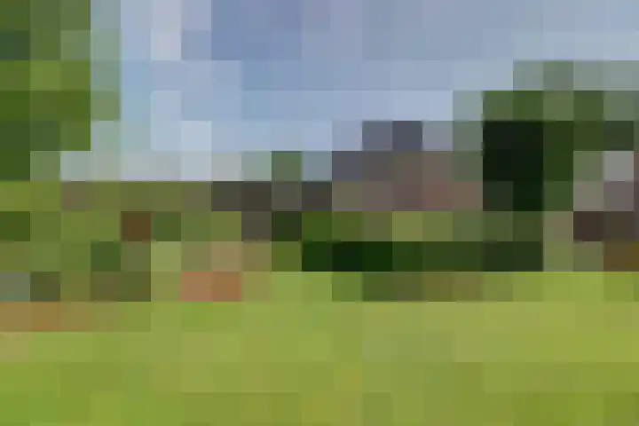 Timmermannsweg 34 Ysselsteyn thumbnail 40