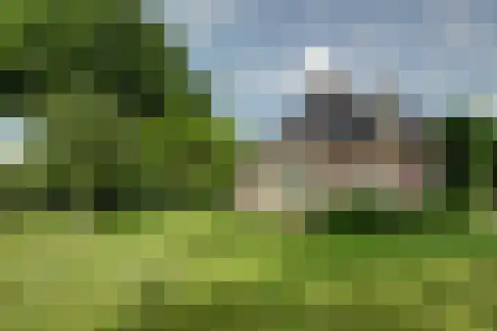 Timmermannsweg 34 Ysselsteyn thumbnail 42
