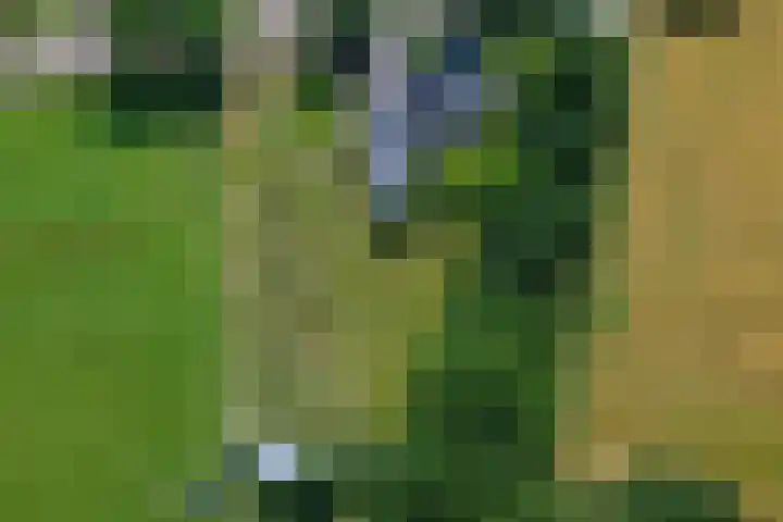 Timmermannsweg 34 Ysselsteyn thumbnail 45