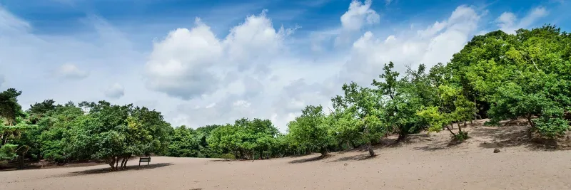 Kantoor foto van Timmermans Makelaardij