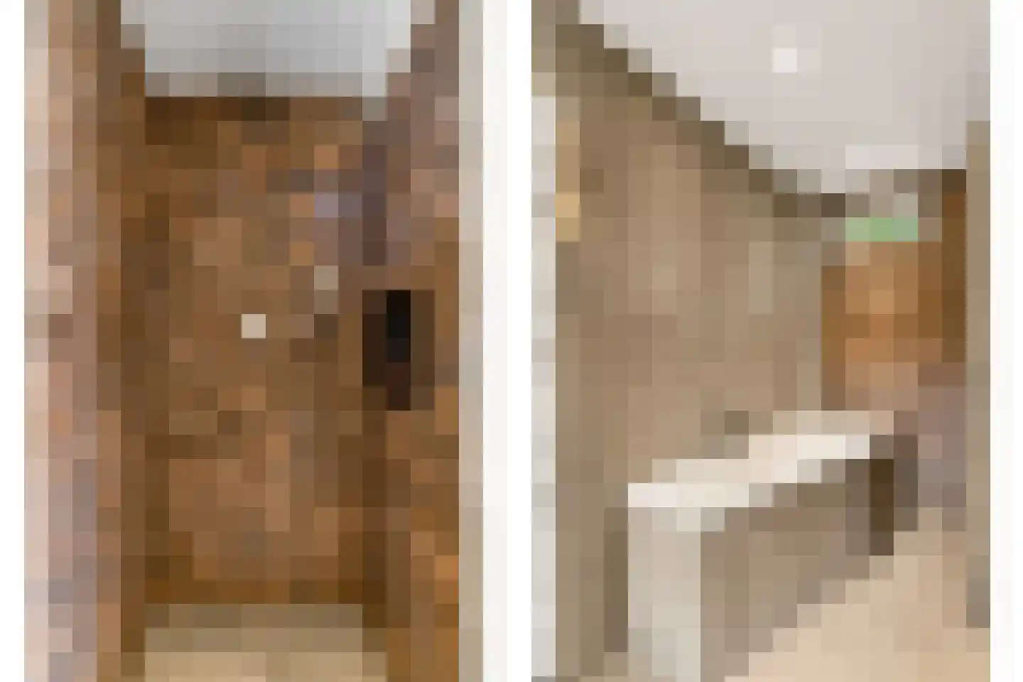 Timmermansgilde 8 Houten thumbnail 28