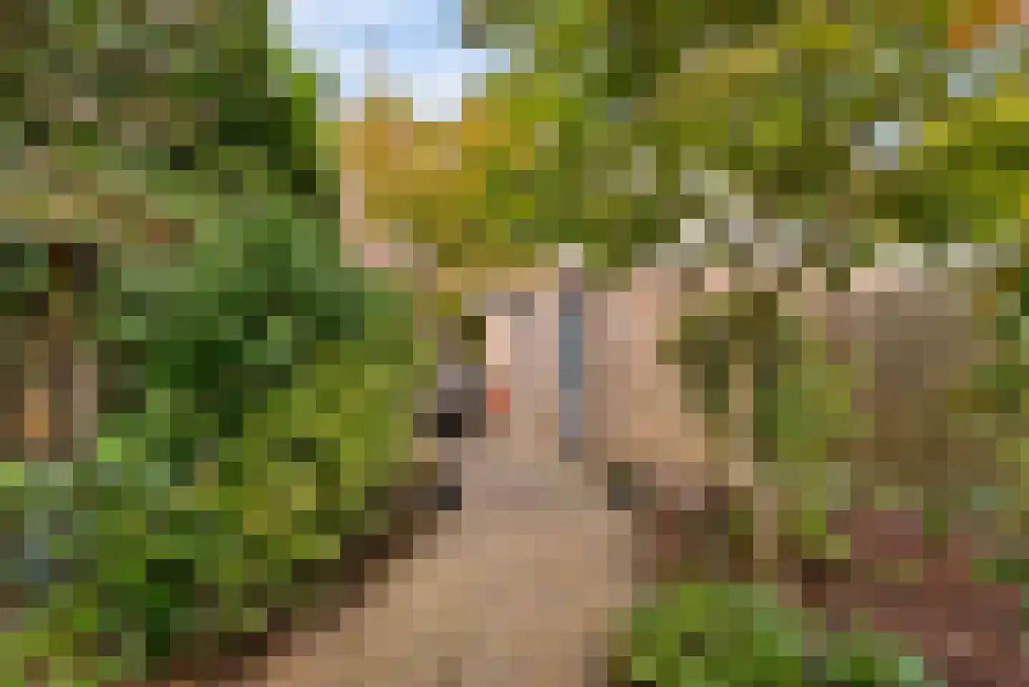 Timmermansgilde 8 Houten thumbnail 36
