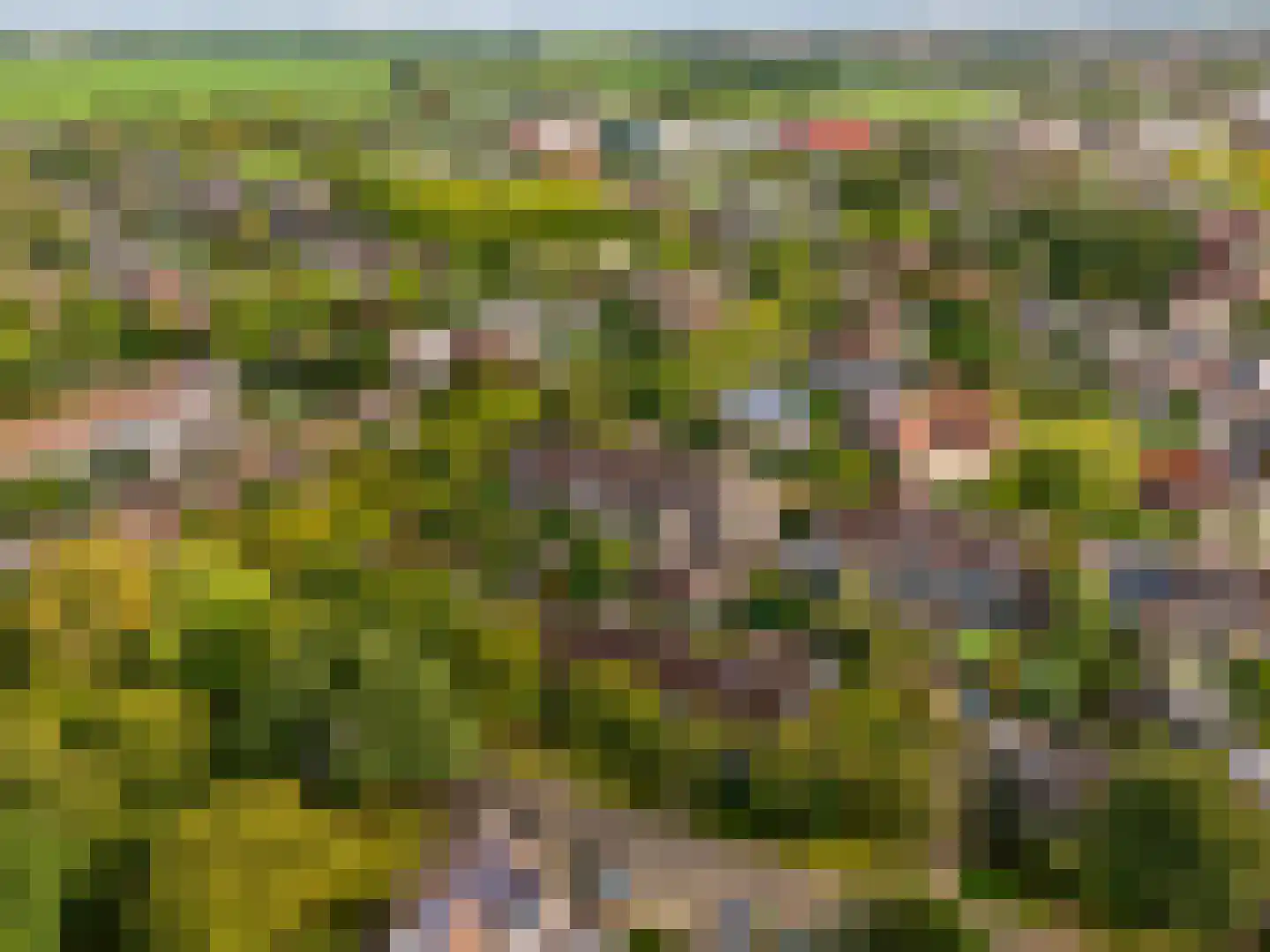 Timmermansgilde 8 Houten thumbnail 39