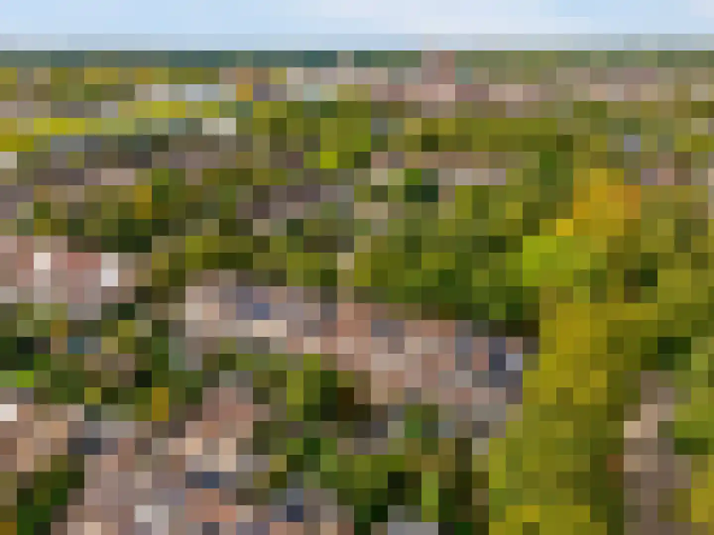 Timmermansgilde 8 Houten thumbnail 40