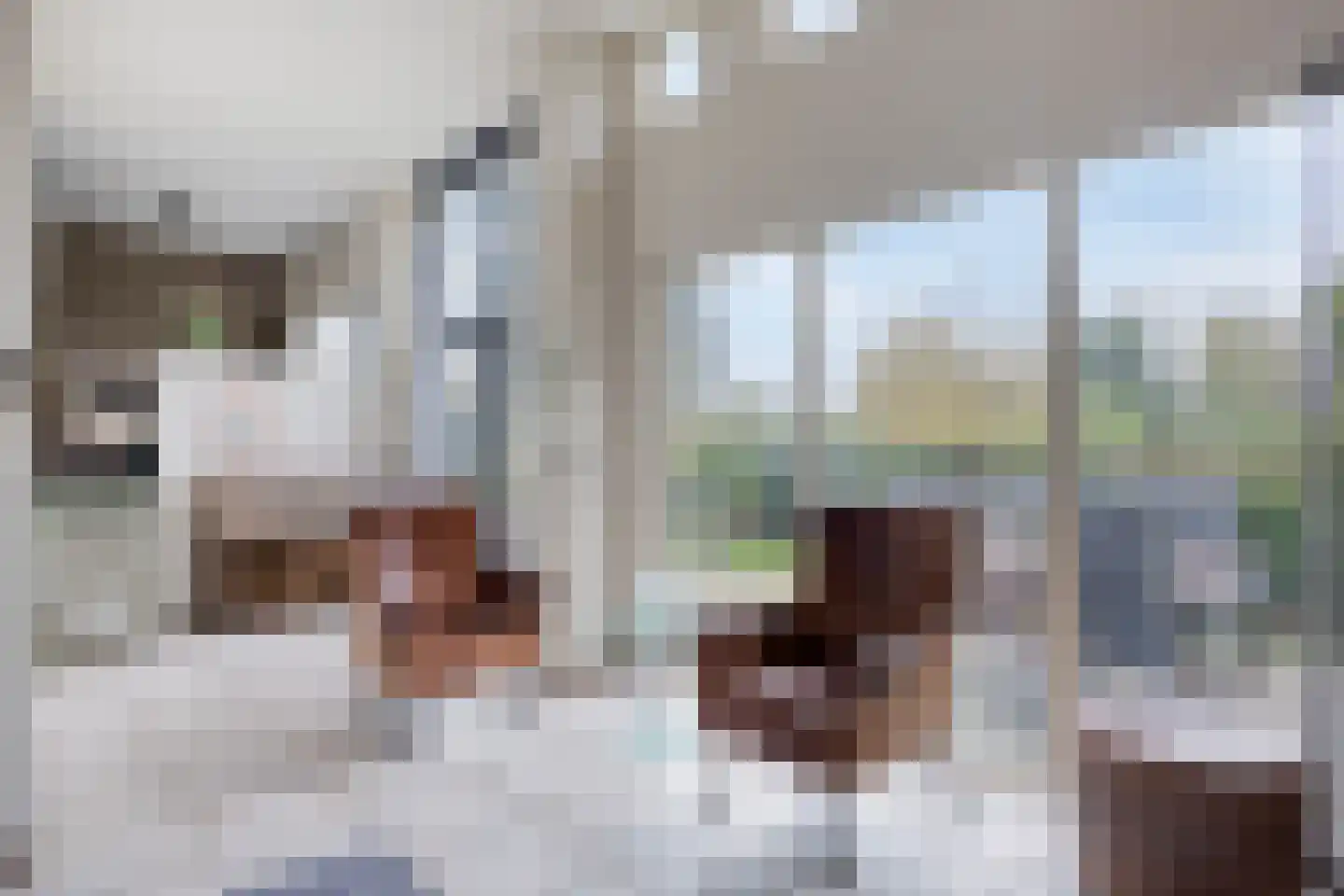 Timmermansingel 5 Zutphen thumbnail 14