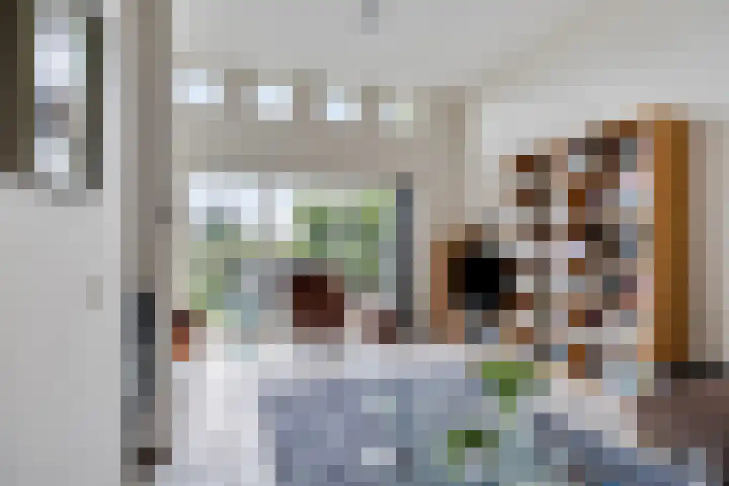 Timmermansingel 5 Zutphen thumbnail 16