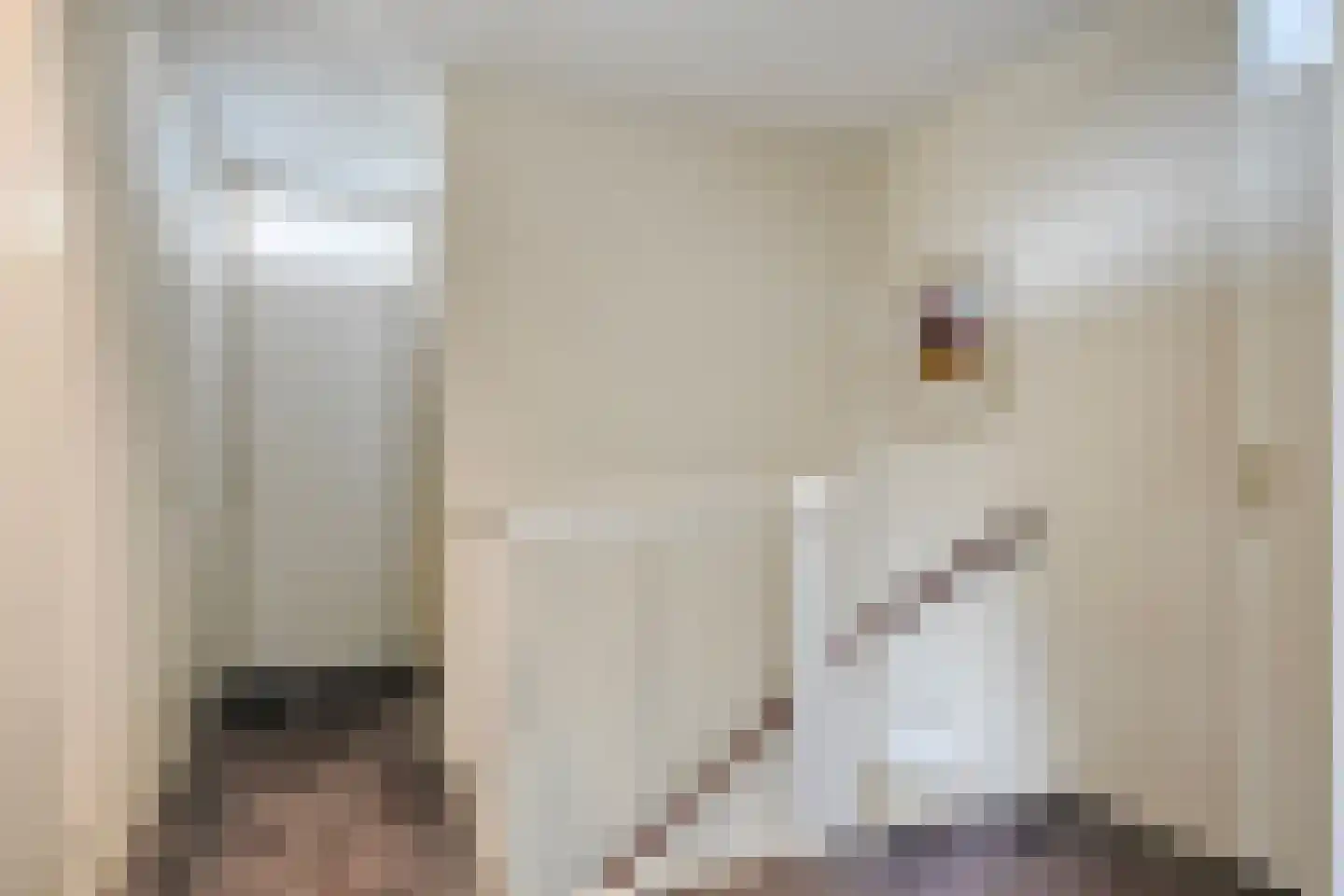 Timmermansingel 5 Zutphen thumbnail 17