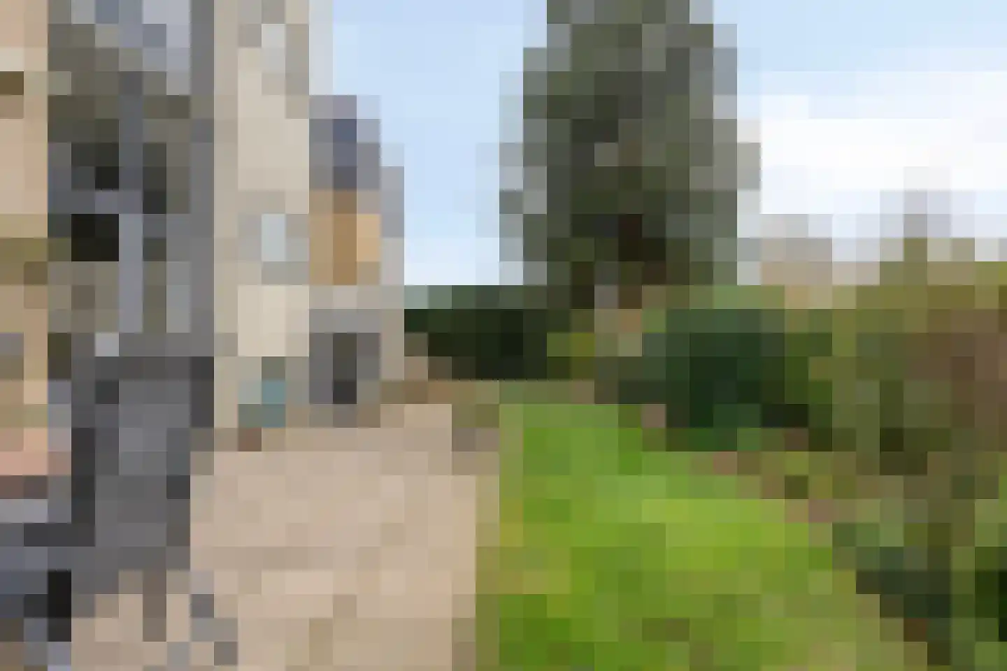 Timmermansingel 5 Zutphen thumbnail 39