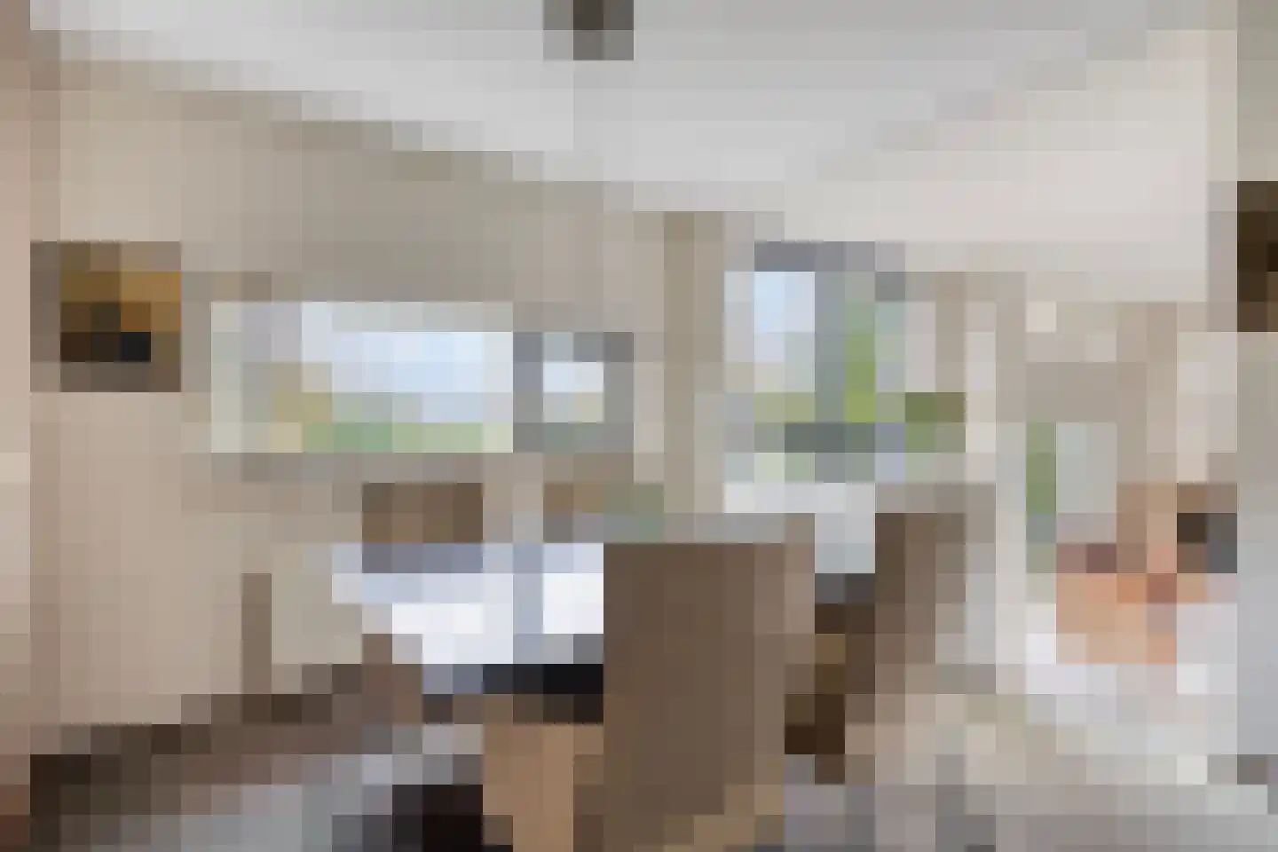 Timmermansingel 5 Zutphen thumbnail 8