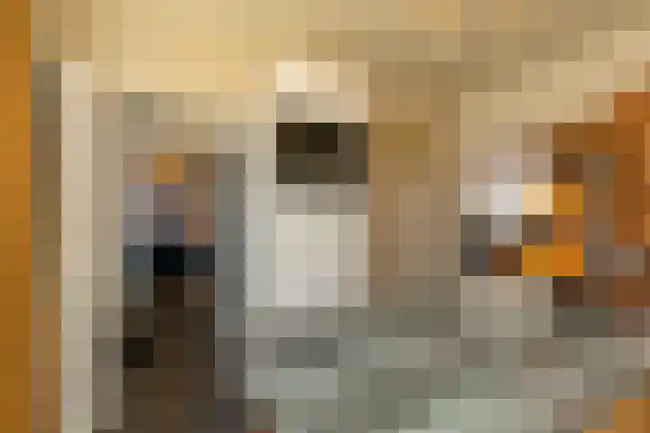 Timmermansstraat 12 Zoutelande thumbnail 10