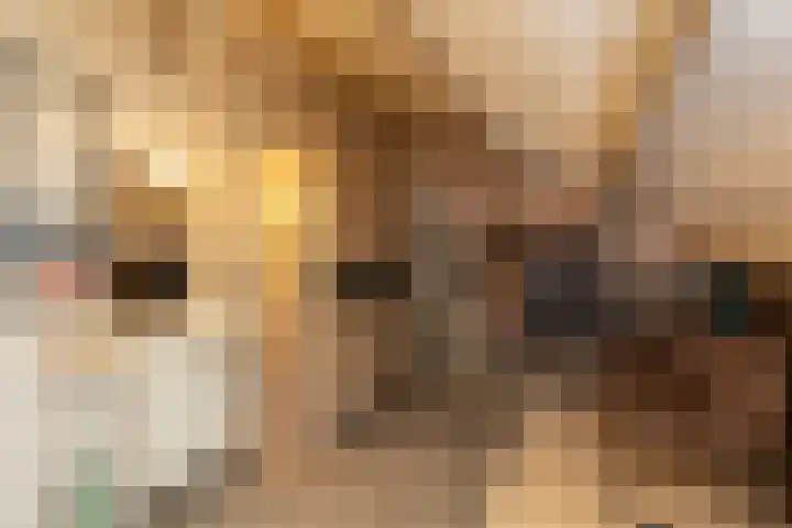 Timmermansstraat 12 Zoutelande thumbnail 20