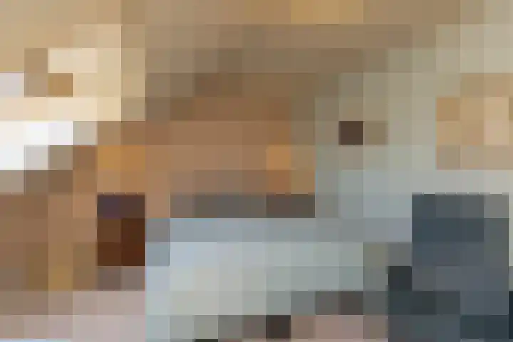 Timmermansstraat 12 Zoutelande thumbnail 23