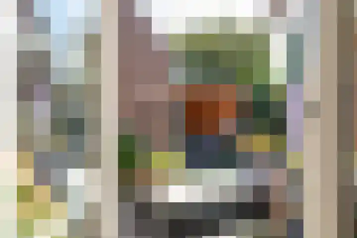 Timmermansstraat 12 Zoutelande thumbnail 24