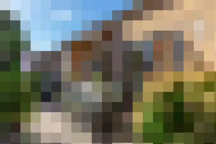 Timmermansstraat 12 Zoutelande thumbnail 25