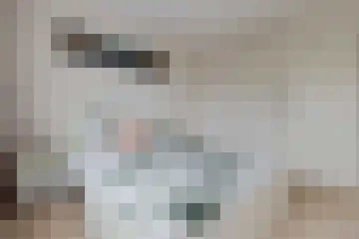 Timmermansstraat 13 Nieuw Heeten thumbnail 15