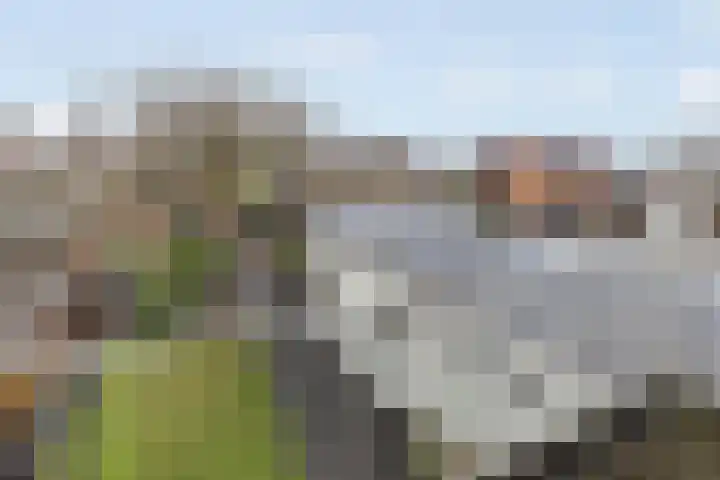 Timmermansstraat 13 Nieuw Heeten thumbnail 16