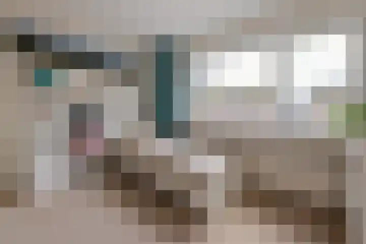 Timmermansstraat 13 Nieuw Heeten thumbnail 17