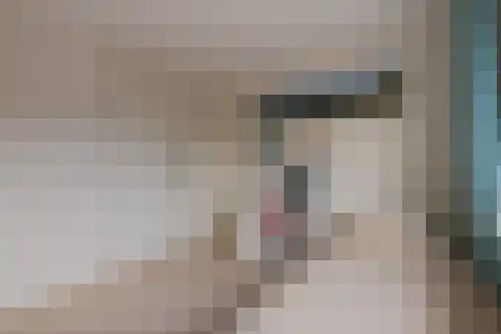 Timmermansstraat 13 Nieuw Heeten thumbnail 19