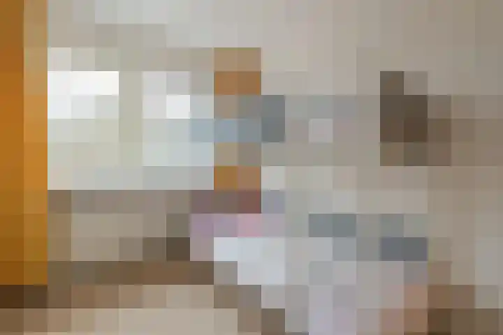 Timmermansstraat 13 Nieuw Heeten thumbnail 20