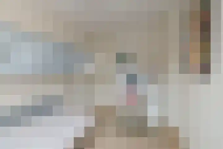 Timmermansstraat 13 Nieuw Heeten thumbnail 21