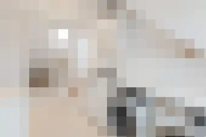 Timmermansstraat 13 Nieuw Heeten thumbnail 26