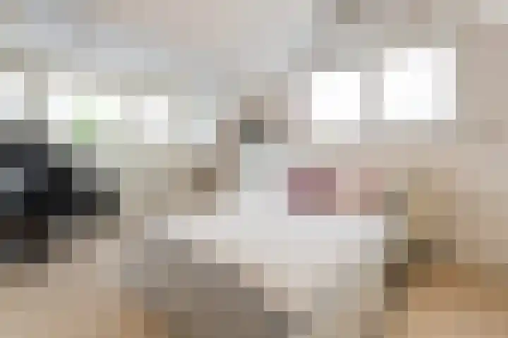 Timmermansstraat 13 Nieuw Heeten thumbnail 30