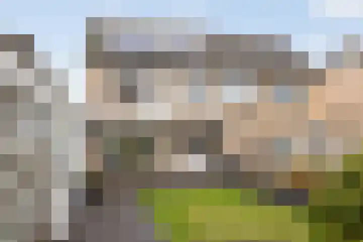 Timmermansstraat 13 Nieuw Heeten thumbnail 35