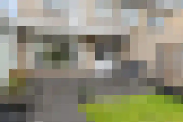 Timmermansstraat 13 Nieuw Heeten thumbnail 36