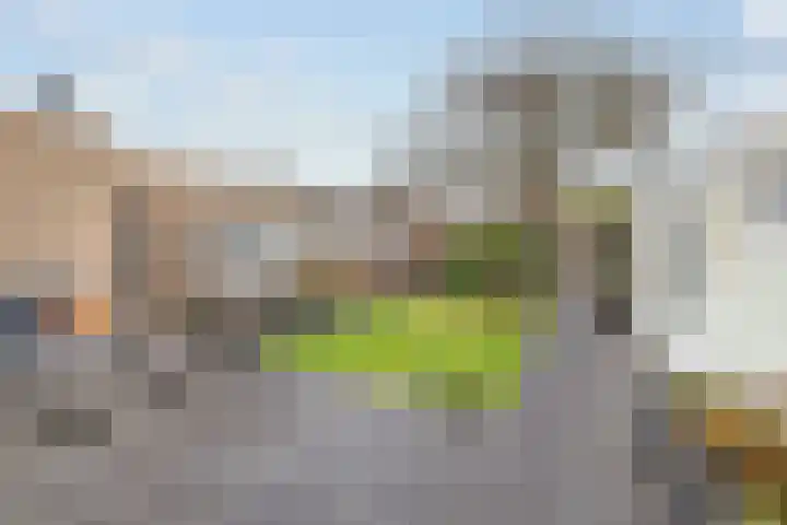 Timmermansstraat 13 Nieuw Heeten thumbnail 38