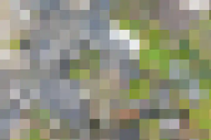 Timmermansstraat 13 Nieuw Heeten thumbnail 4
