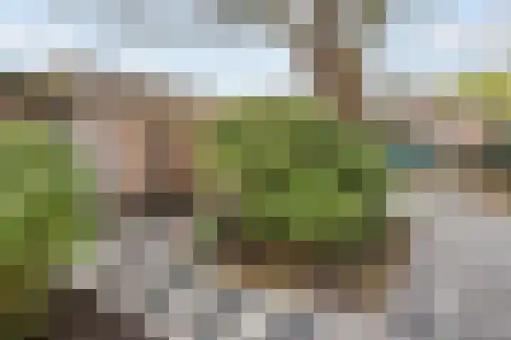 Timmermansstraat 13 Nieuw Heeten thumbnail 40