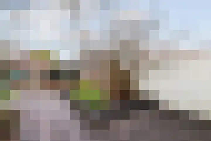 Timmermansstraat 13 Nieuw Heeten thumbnail 41