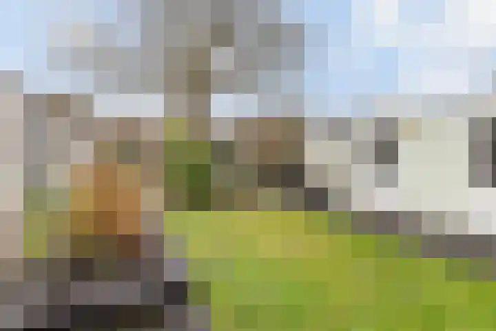 Timmermansstraat 13 Nieuw Heeten thumbnail 42