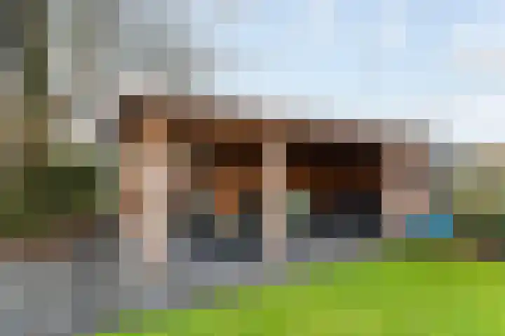 Timmermansstraat 13 Nieuw Heeten thumbnail 47