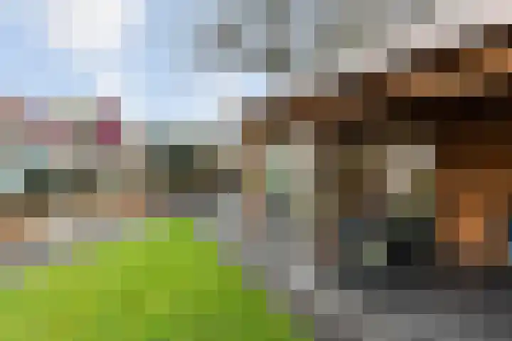 Timmermansstraat 13 Nieuw Heeten thumbnail 48