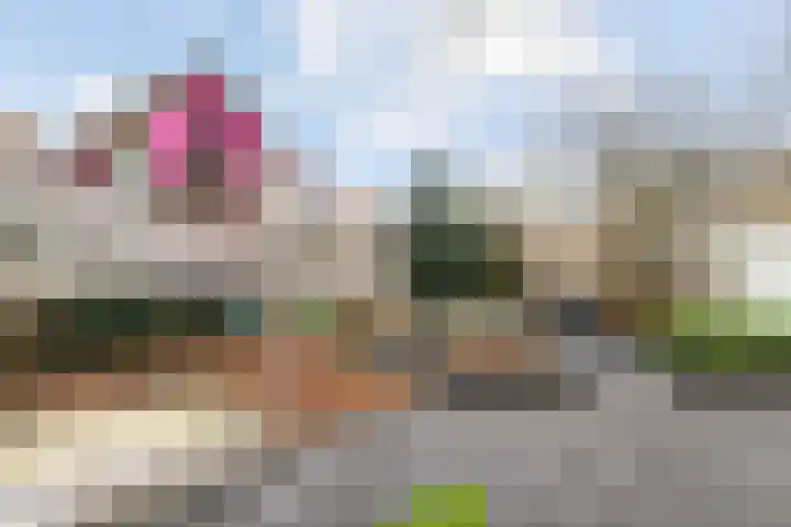 Timmermansstraat 13 Nieuw Heeten thumbnail 49