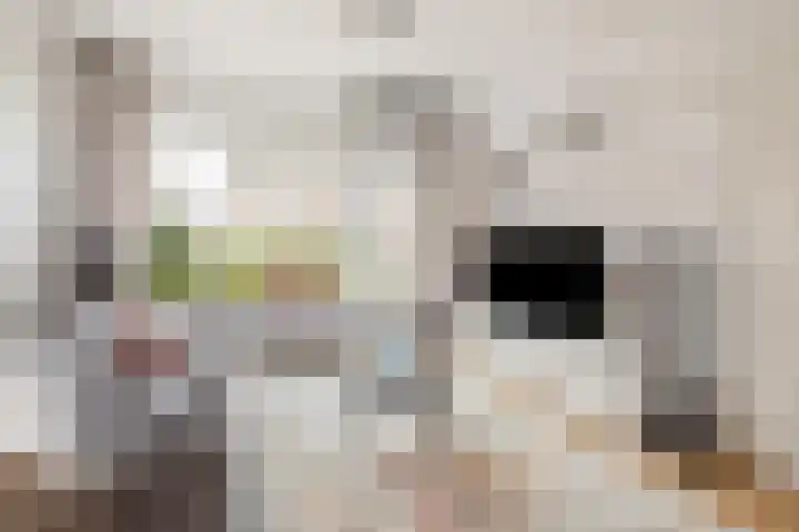 Timmermansstraat 13 Nieuw Heeten thumbnail 6