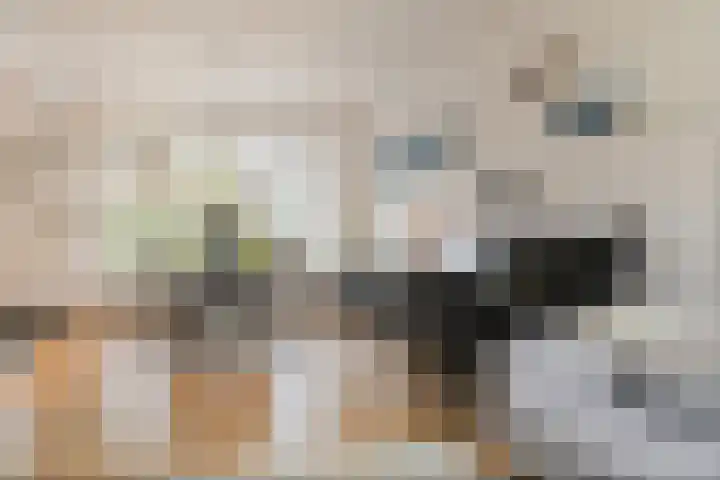 Timmermansstraat 13 Nieuw Heeten thumbnail 7