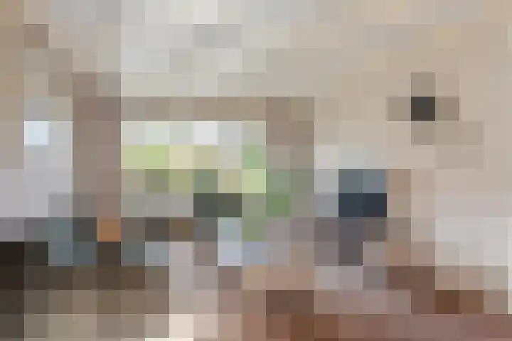Timmermansstraat 20 Nieuw Heeten thumbnail 5