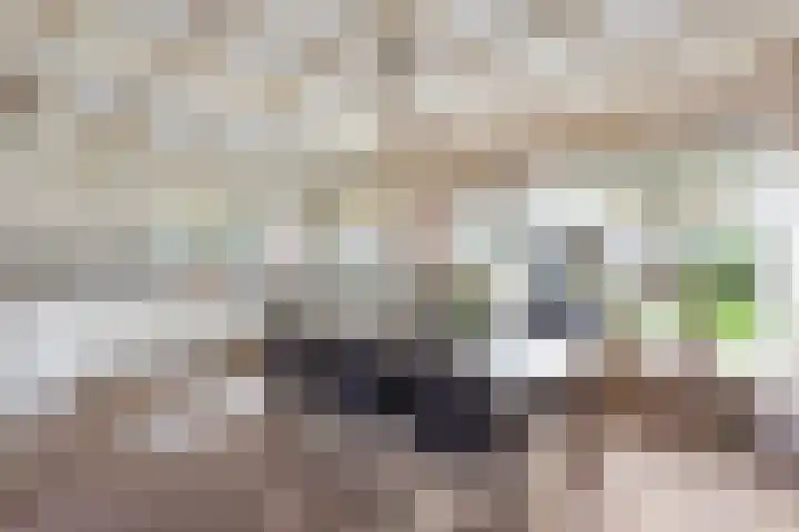 Timmermansstraat 20 Nieuw Heeten thumbnail 6