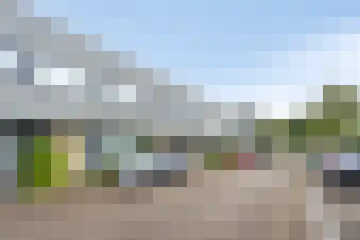 Timmermansstraat 21 IJsselstein thumbnail 23