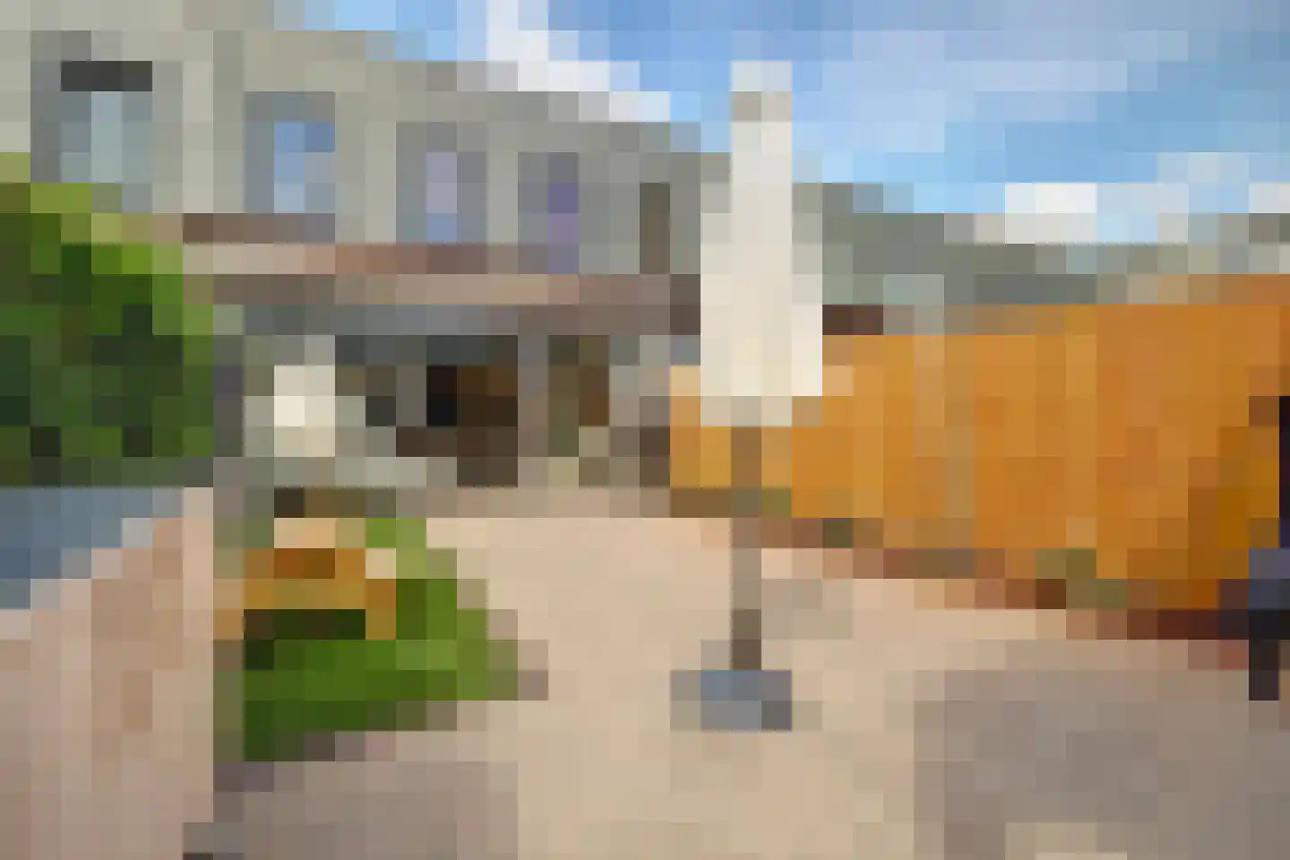 Timmermansstraat 24 IJsselstein thumbnail 39