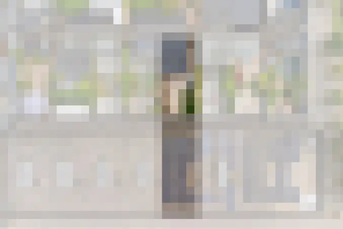 Timmermansstraat 24 IJsselstein thumbnail 42