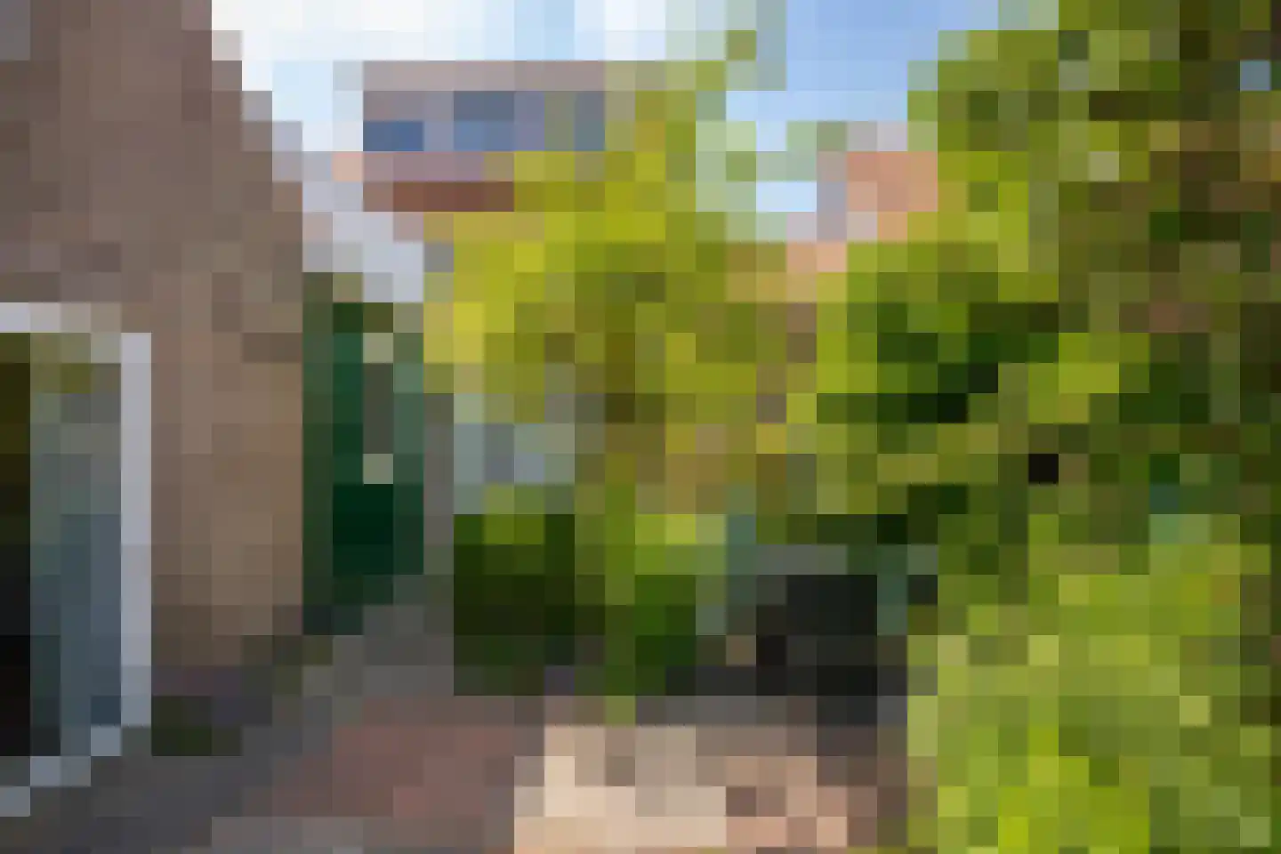 Timmermansstraat 38 Zoutelande thumbnail 38