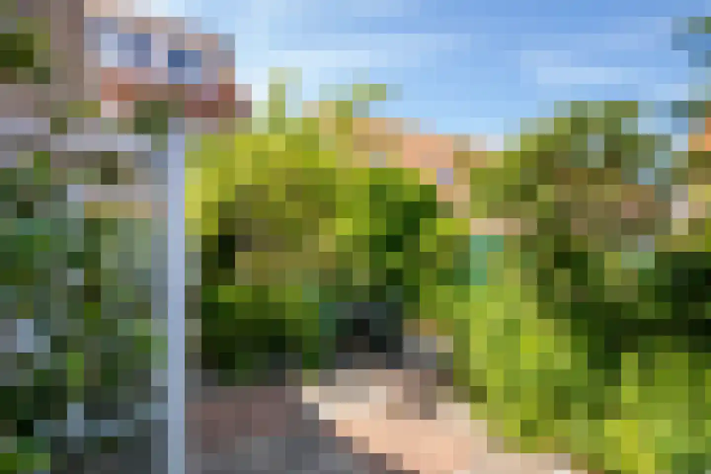 Timmermansstraat 38 Zoutelande thumbnail 39