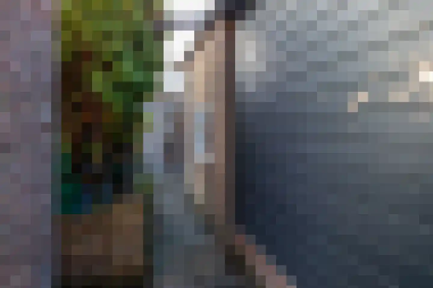 Timmermansstraat 38 Zoutelande thumbnail 42