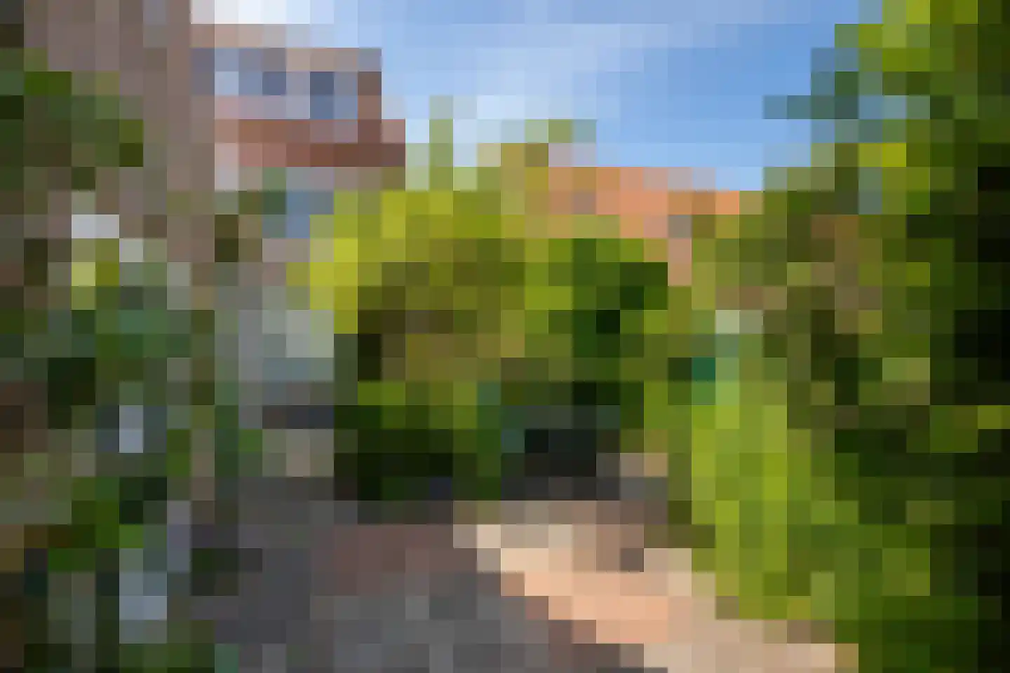 Timmermansstraat 38 Zoutelande thumbnail 43