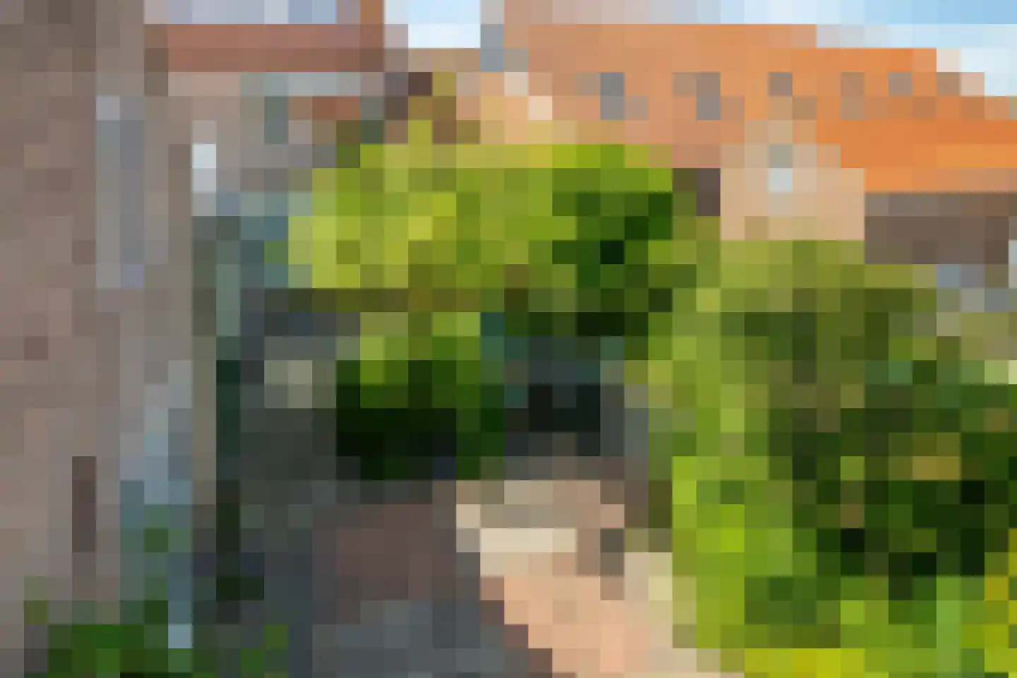 Timmermansstraat 38 Zoutelande thumbnail 44