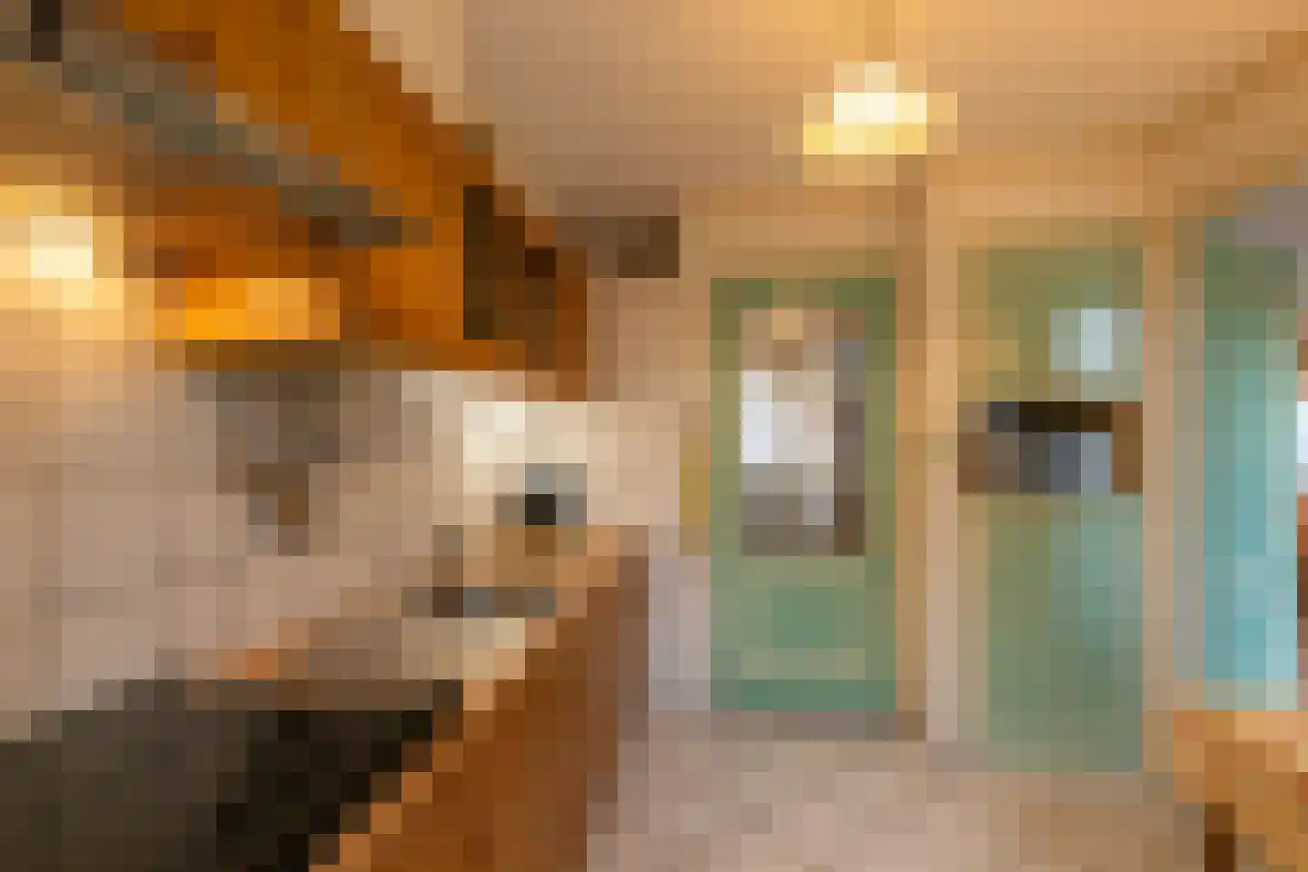 Timmermansstraat 38 Zoutelande thumbnail 9